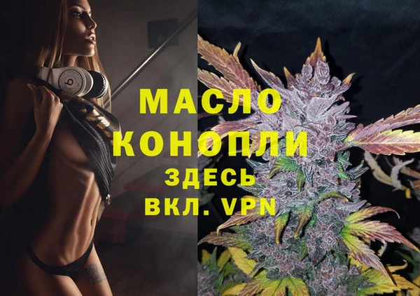 mix Инта