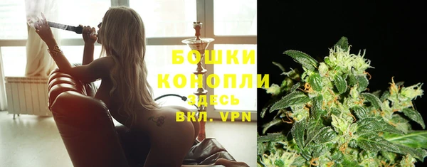 трава Иннополис