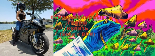 трава Иннополис
