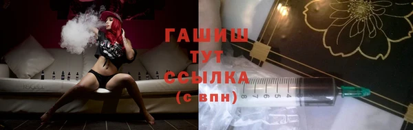 mix Инта
