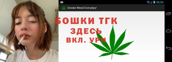 трава Иннополис