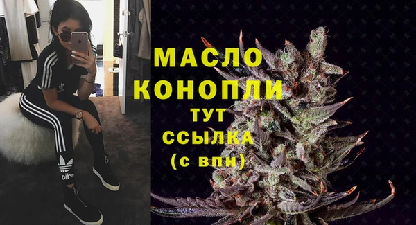 mix Инта