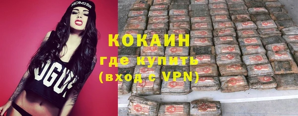 mix Инта