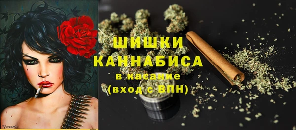 mix Инта