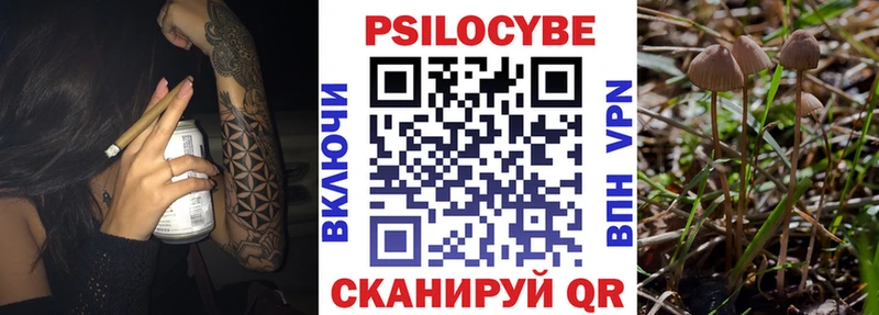 Псилоцибиновые грибы мухоморы  Купить закладки  Таруса 